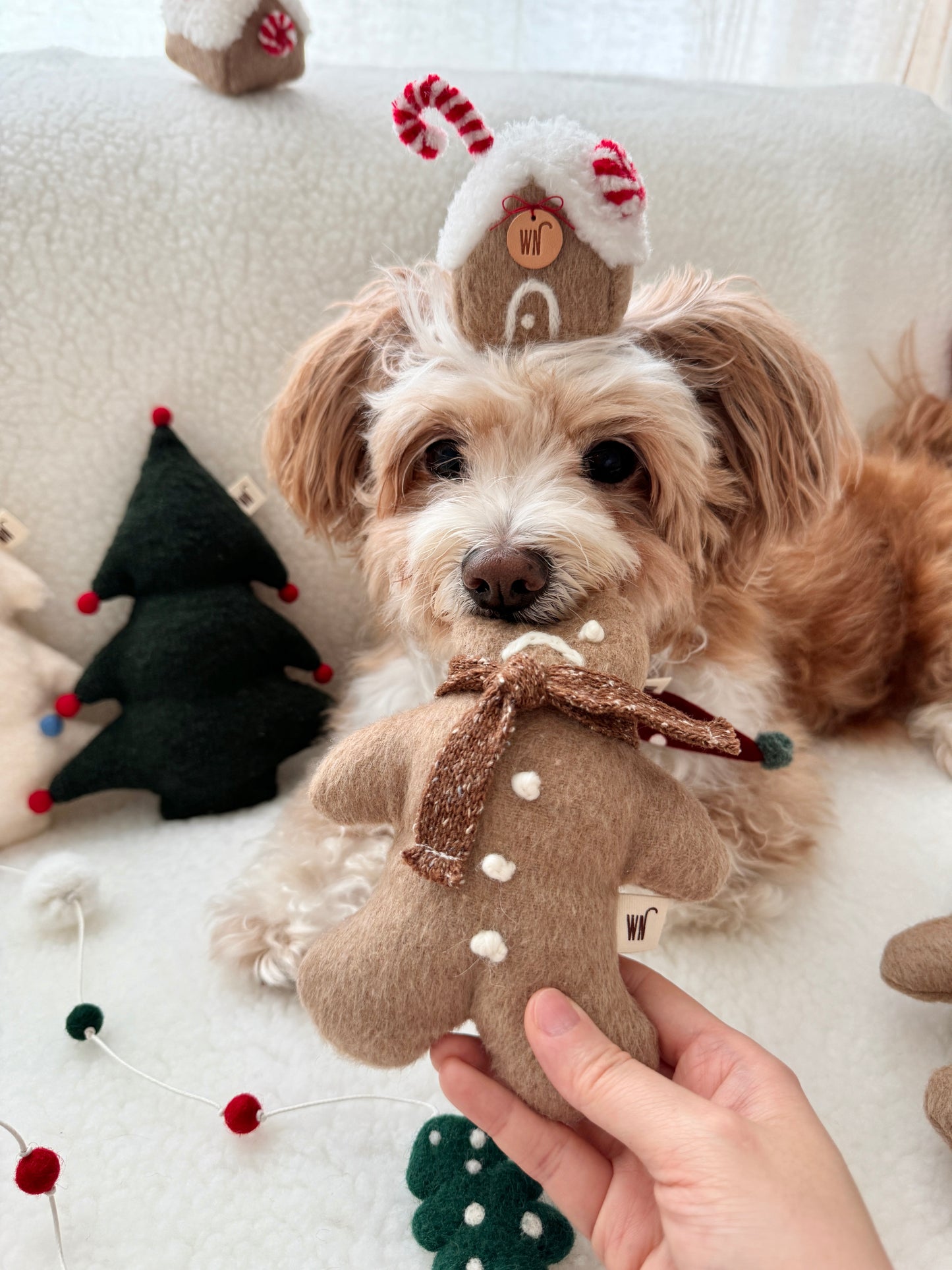 Gingerbread House Head Piece