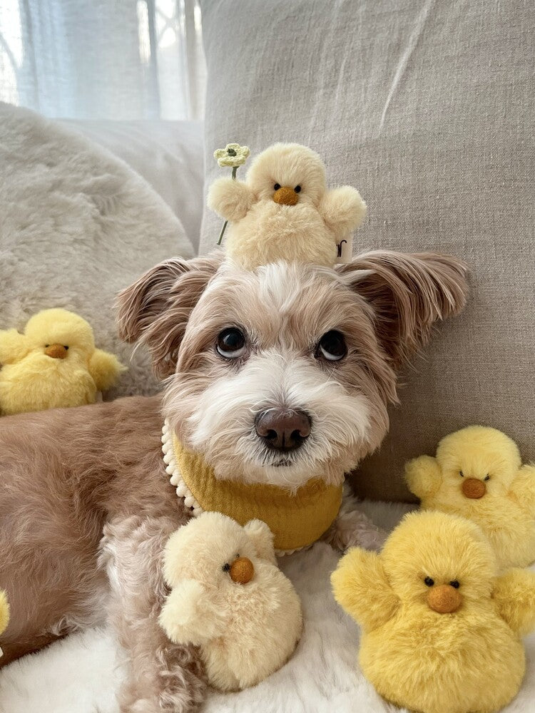 Chick Dog Toy (Set of 3)