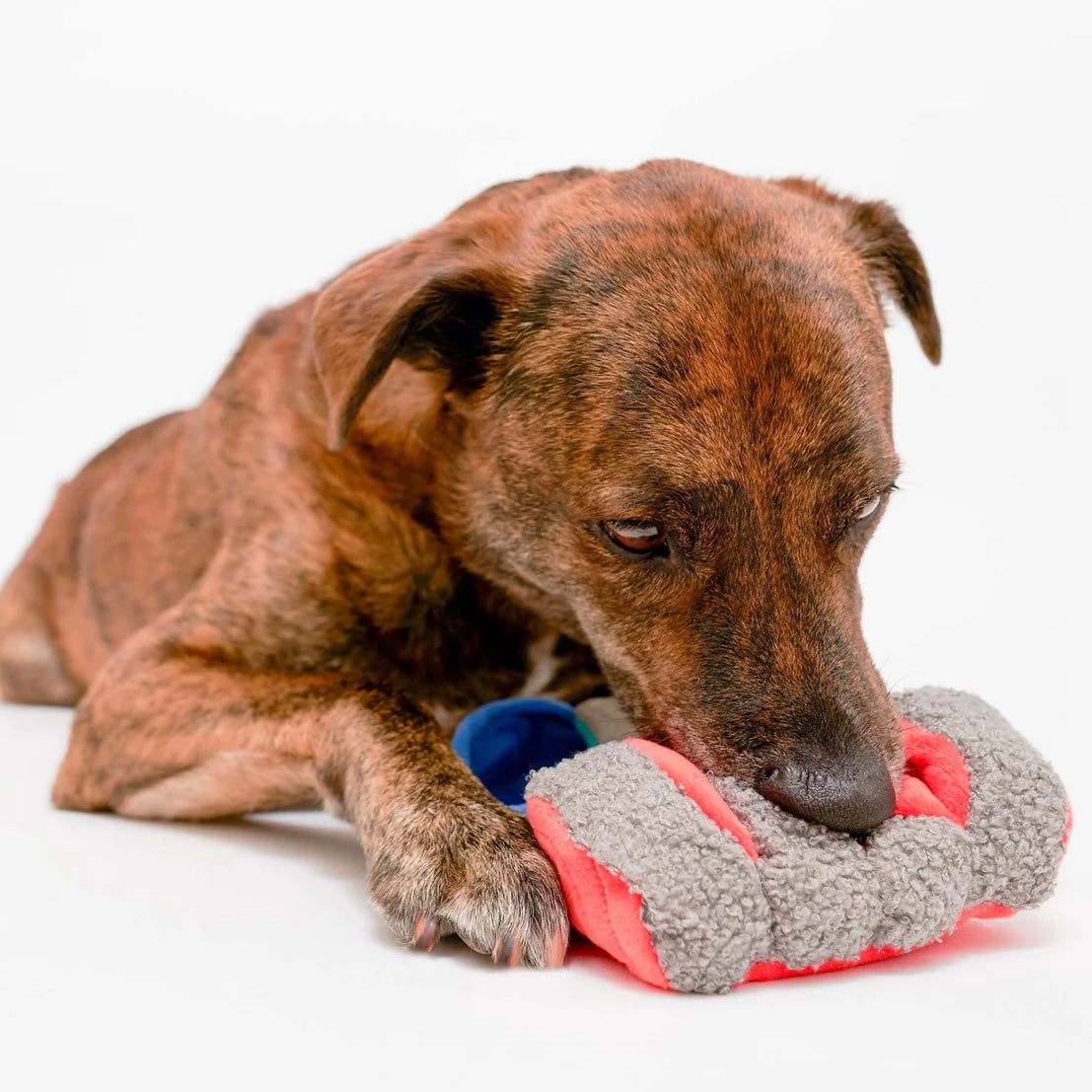 Tinned Salmon Nosework Toy