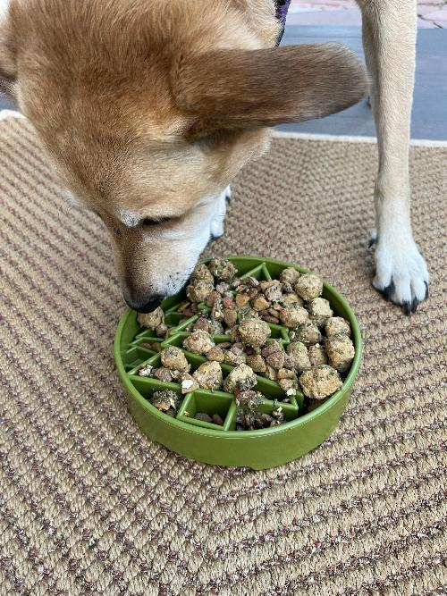 Pine Tree Design Enrichment Slow Feeder Bowl