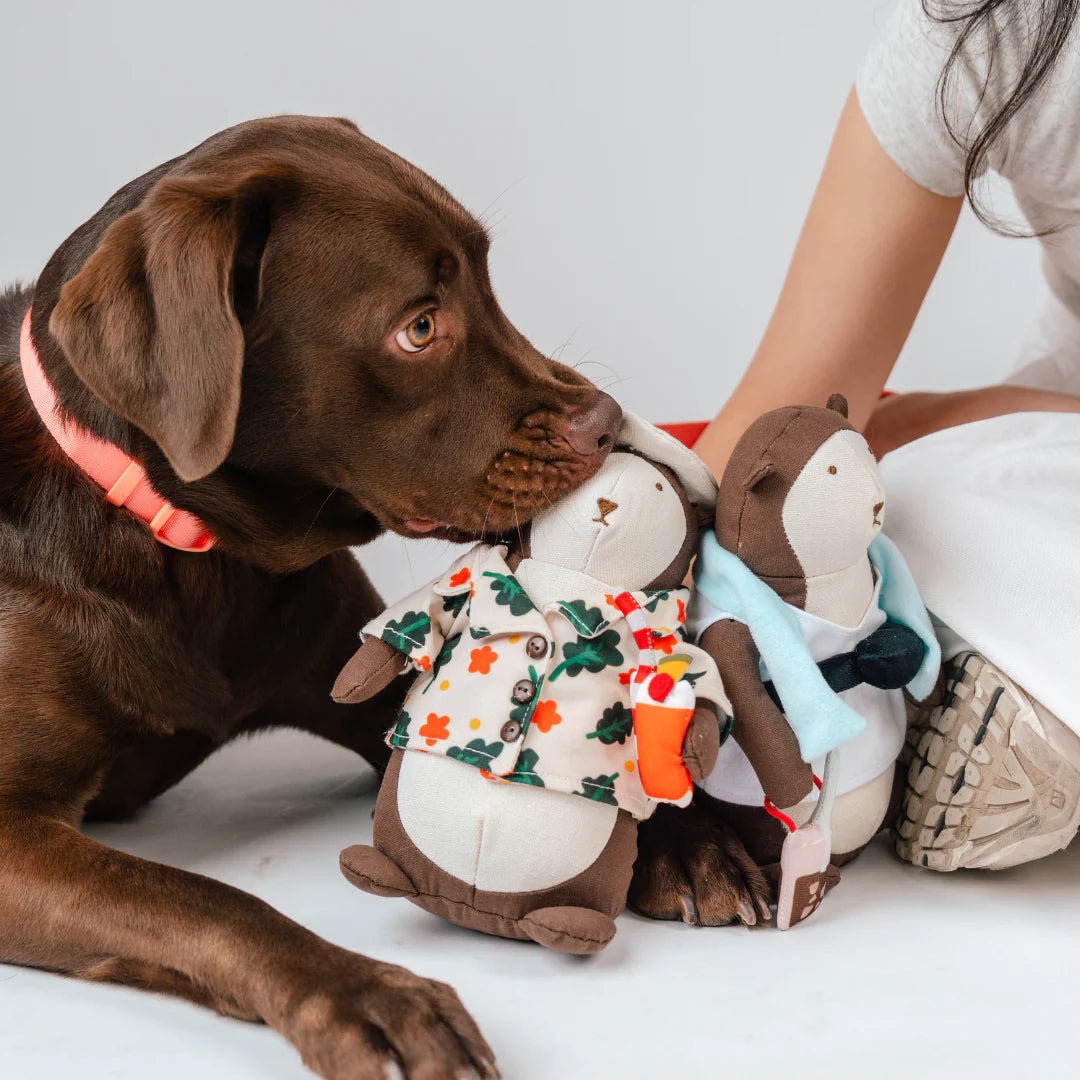 Bishan The Otter Singapore Sling Squeaky Toy