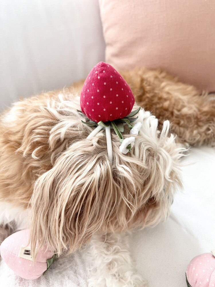 Strawberry Head Piece