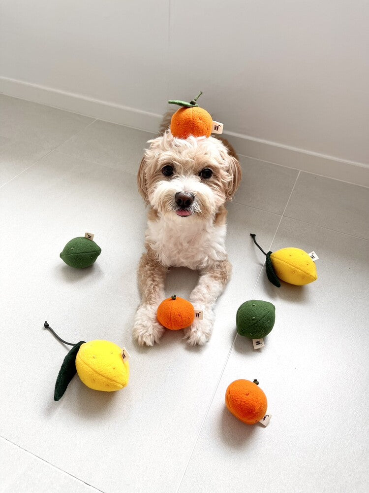 Citrus Doy Toy (Set of 3)