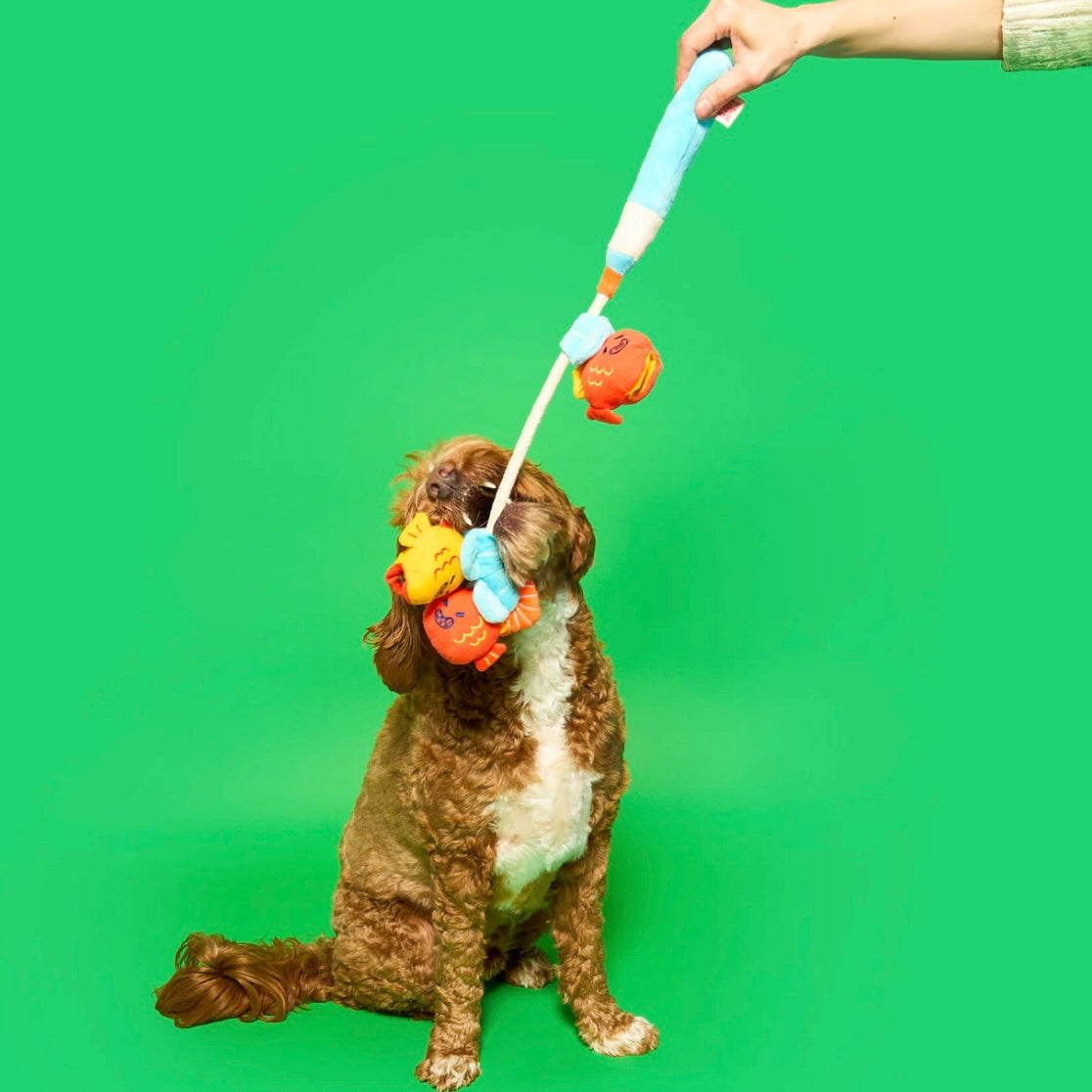 Fishing Nosework & Tug Toy