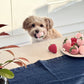 Strawberry Dog Toy (Set of 3)