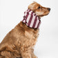 Burgundy Stripes Snood