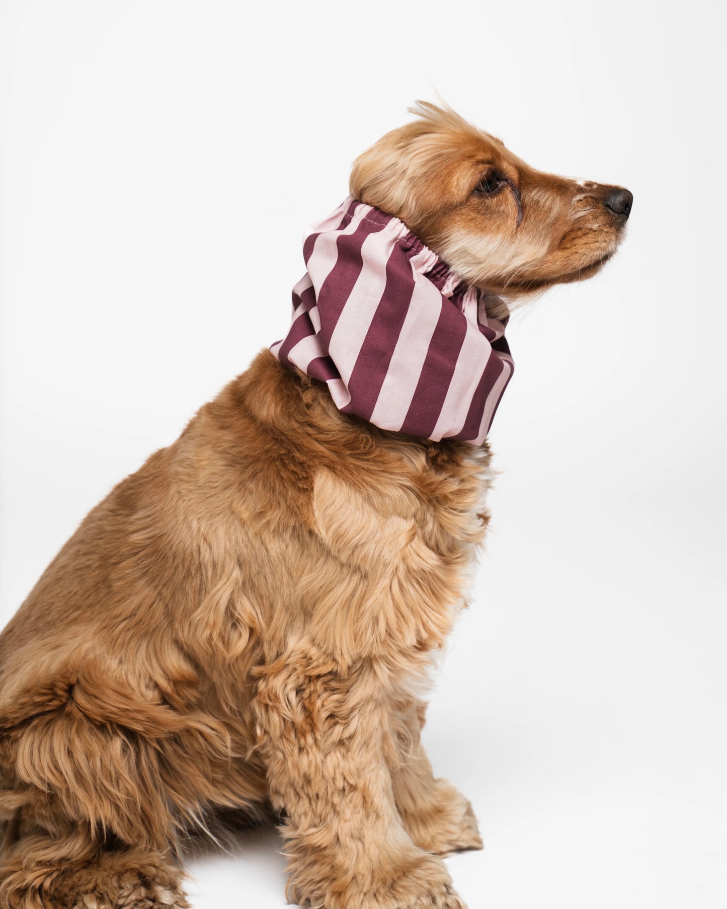 Burgundy Stripes Snood