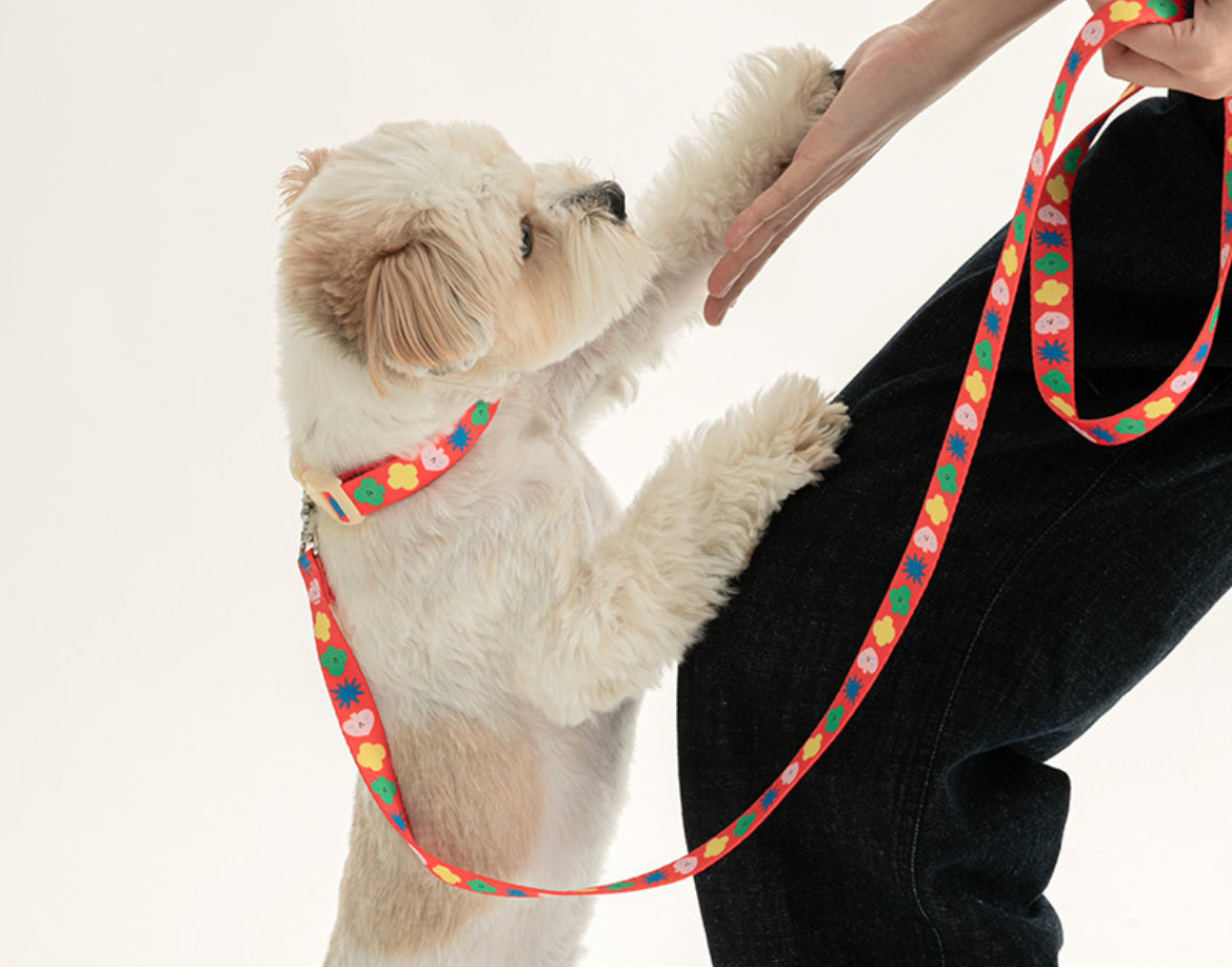 Red Sparkle Hands Free Leash