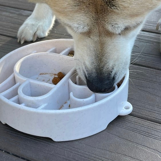 Coffee Bean Java Design Enrichment Slow Feeder Bowl