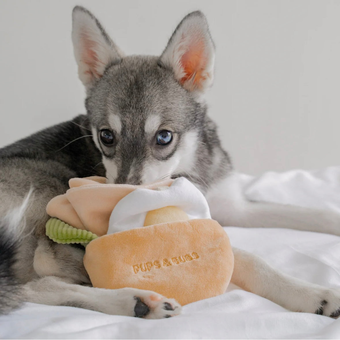 Pita Pocket Nosework Toy