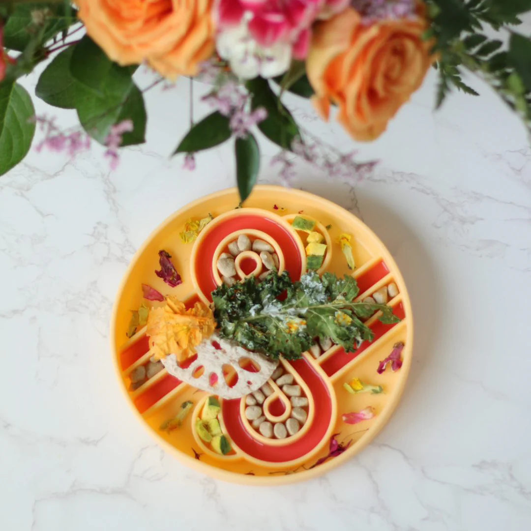 zoomies slow feeder bowl | mango