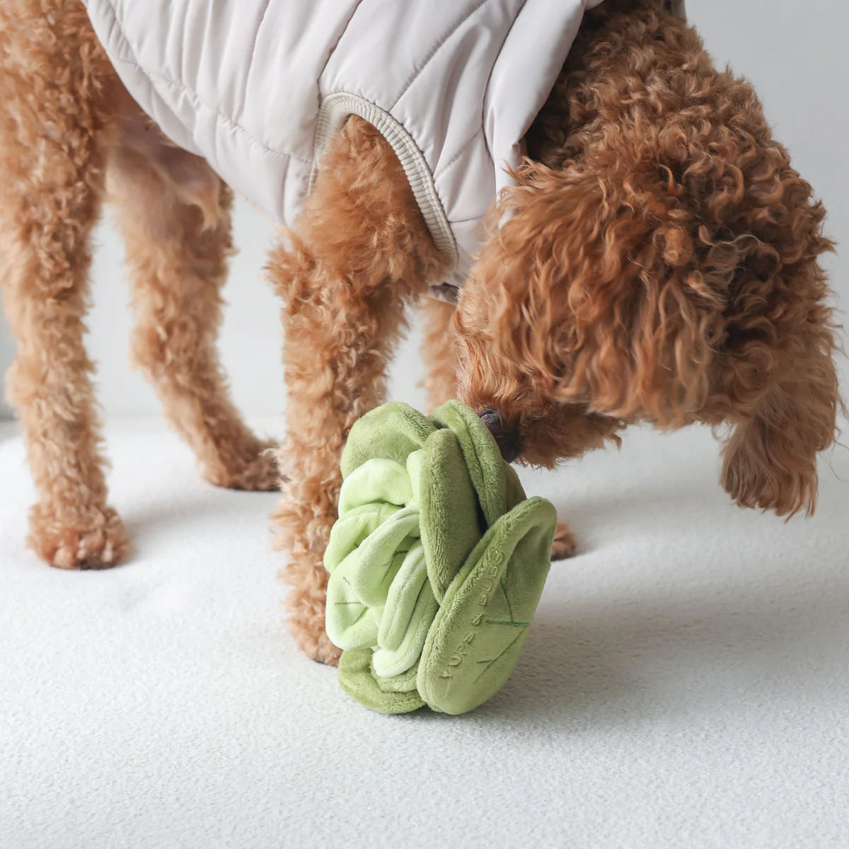 Snuffle Cabbage Nosework Toy