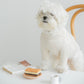 Butter Cookie Latex Toy