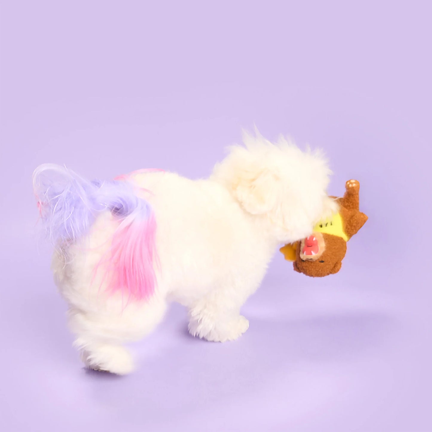 Happy Bear Tofino Nosework Toy