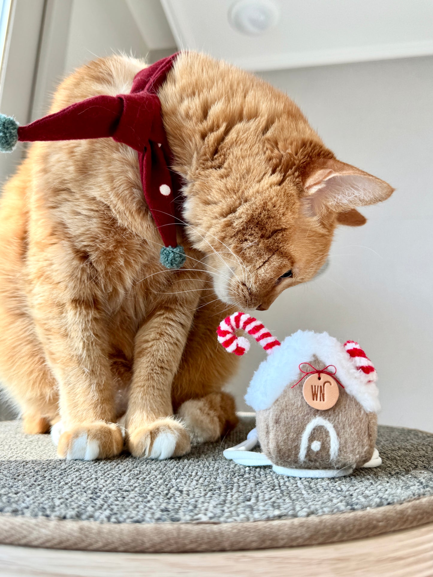 Gingerbread House Head Piece