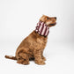 Burgundy Stripes Snood