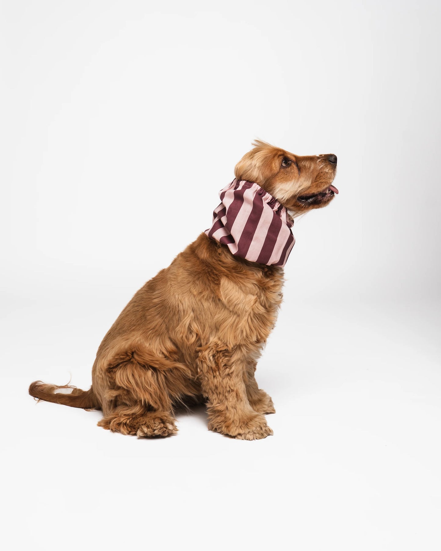 Burgundy Stripes Snood