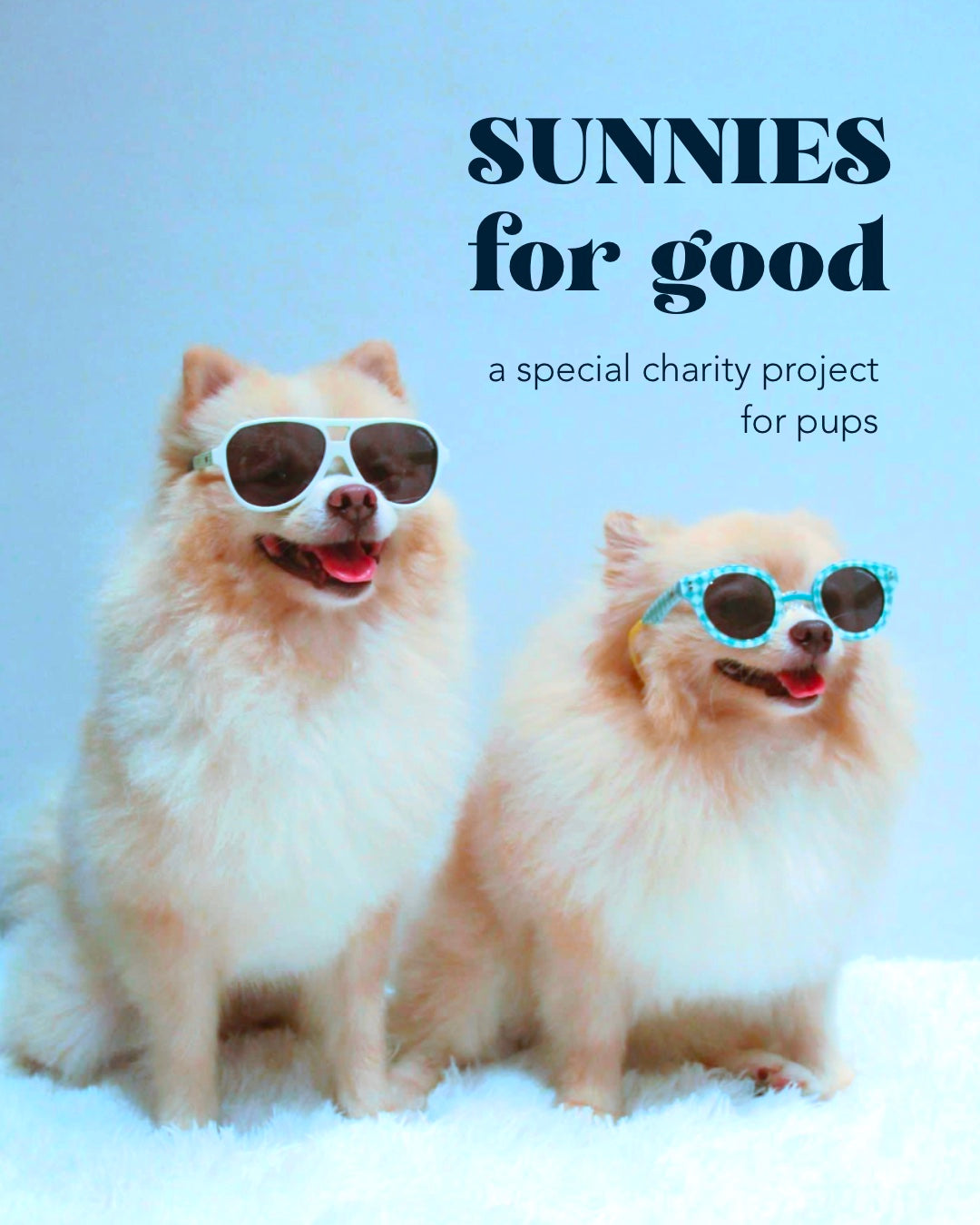 ✿ SUNNIES for good ✿ Round Gingham Blue