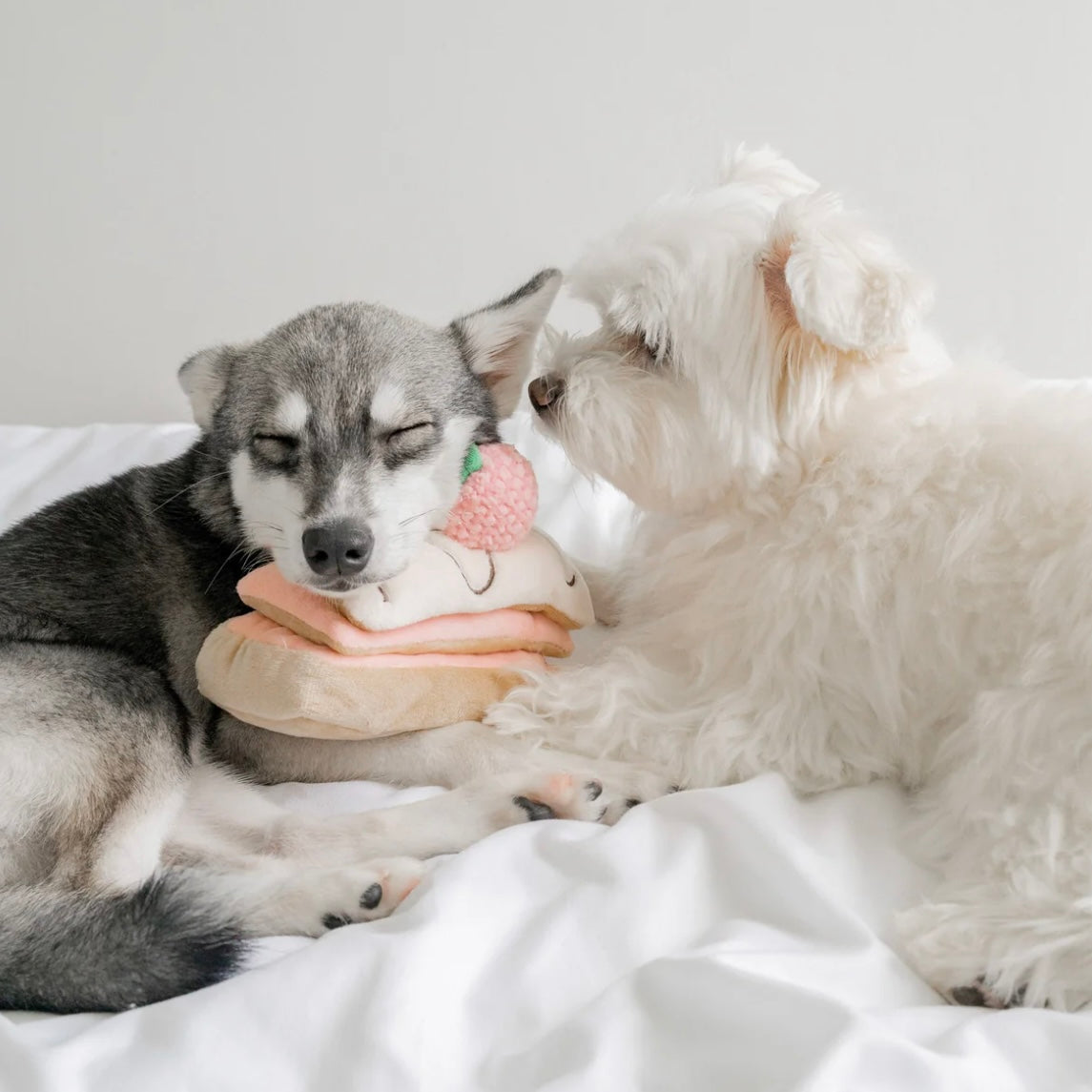 Strawberry Mille-Feuille Nosework Toy