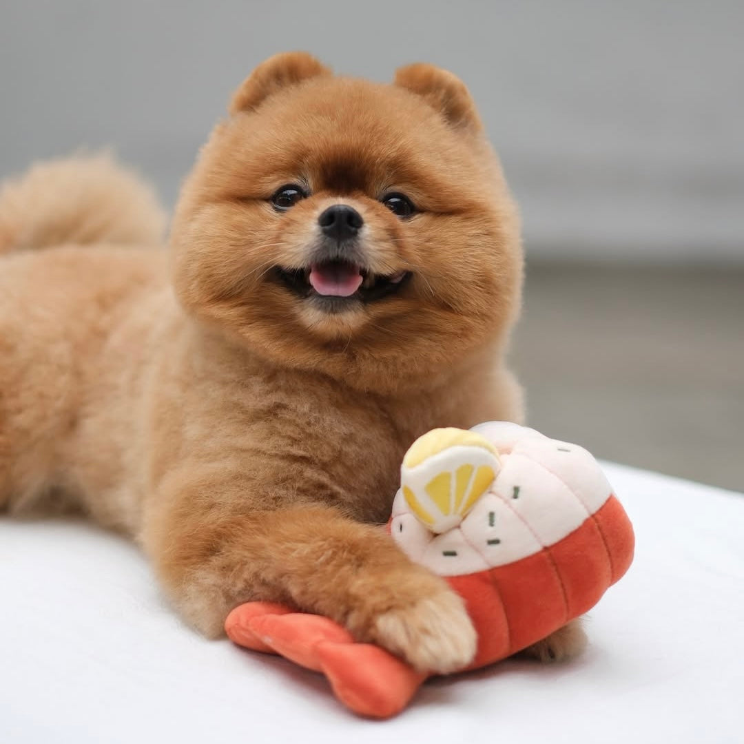 Grilled Lobster Nosework Toy