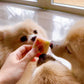 Christmas Yoghurt Bites