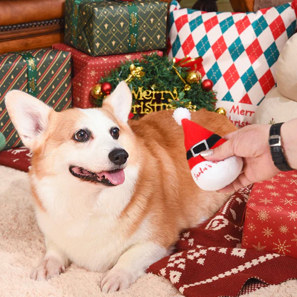 Holiday Special Friend Toy (Set of 3)