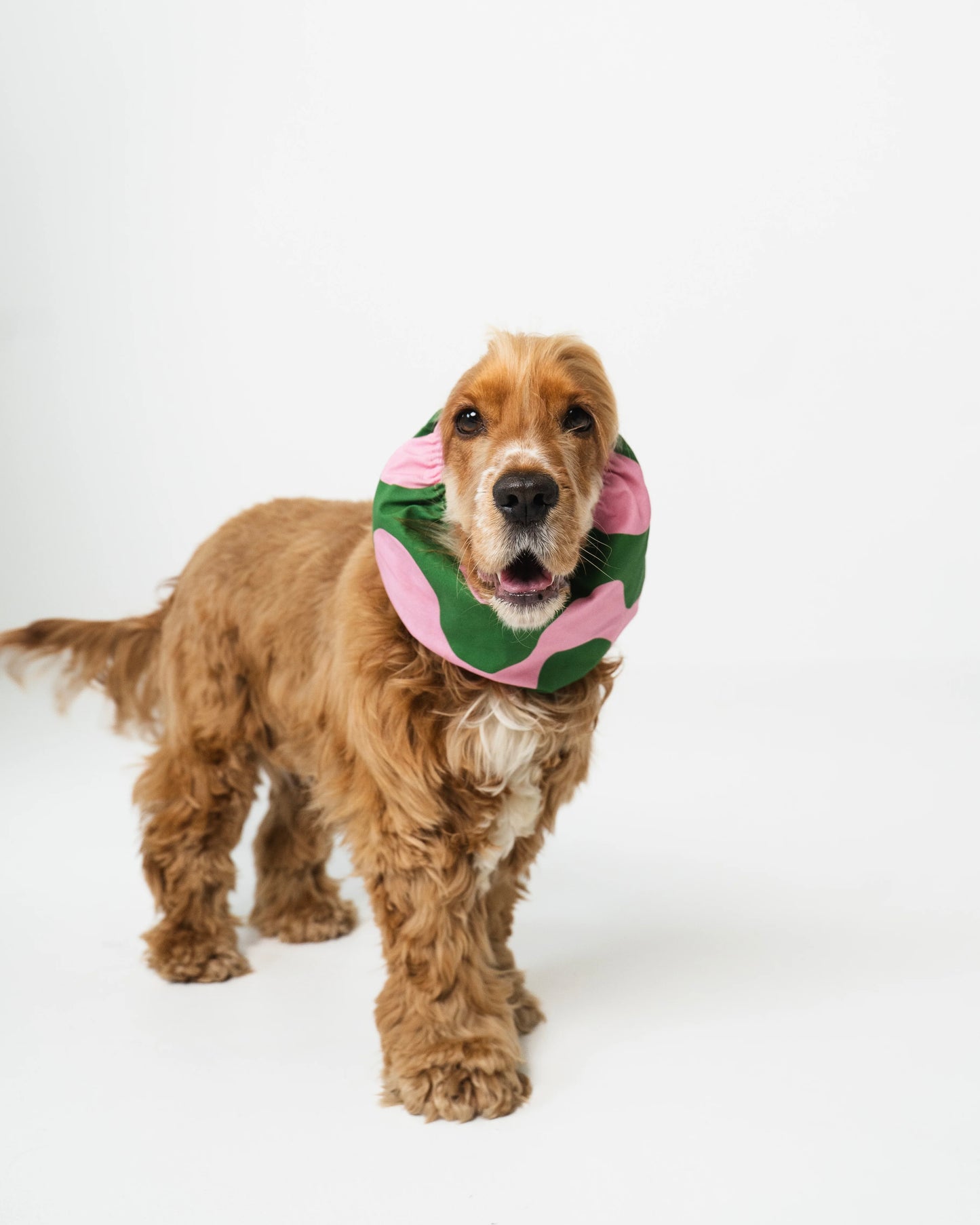 Pink & Green Waves Snood