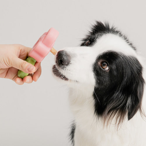 *NEW* Easy Bite Grip Chew Treat Holder