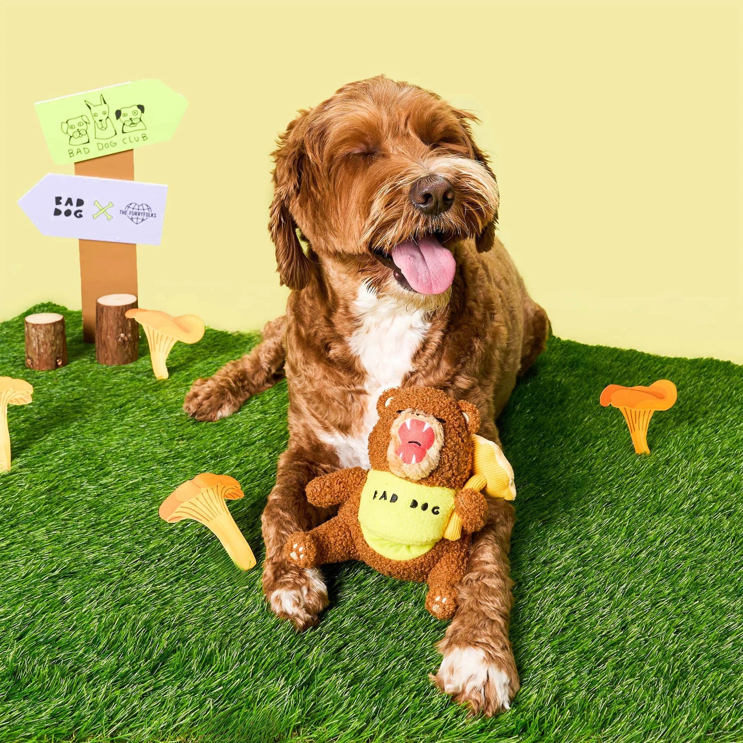 Happy Bear Tofino Nosework Toy