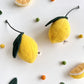 Citrus Doy Toy (Set of 3)