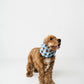 Checkered Blue Snood