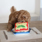 Lasagna Nosework Toy