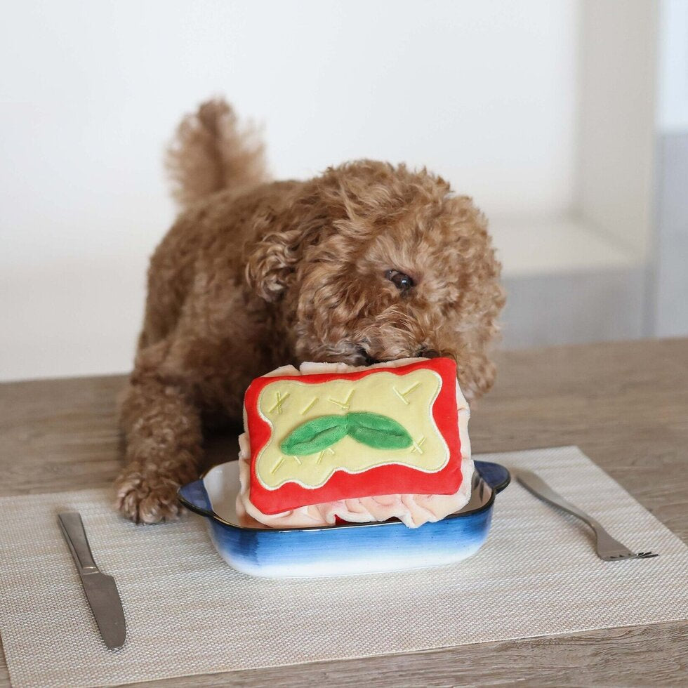 Lasagna Nosework Toy