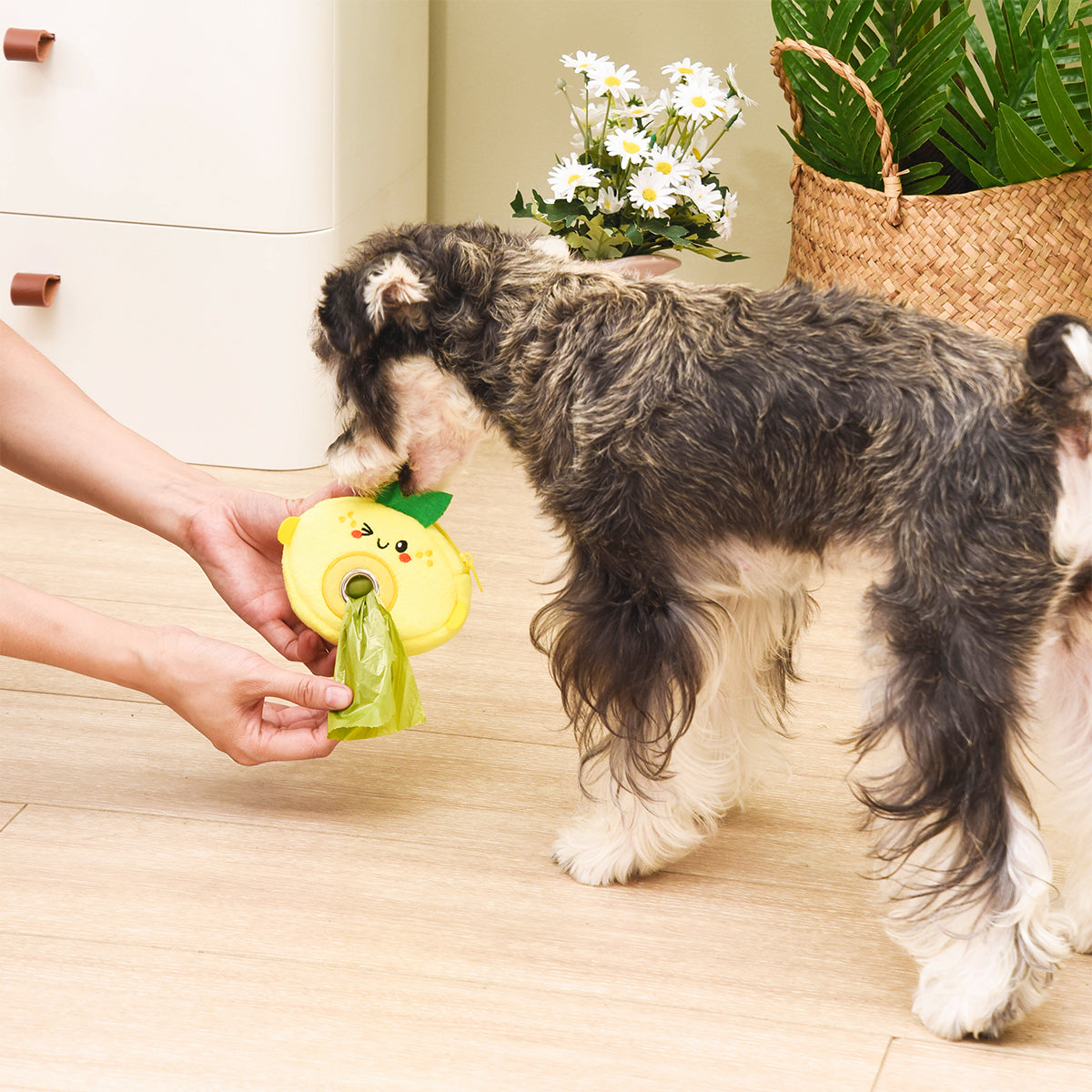 Lemon Pooch Pouch