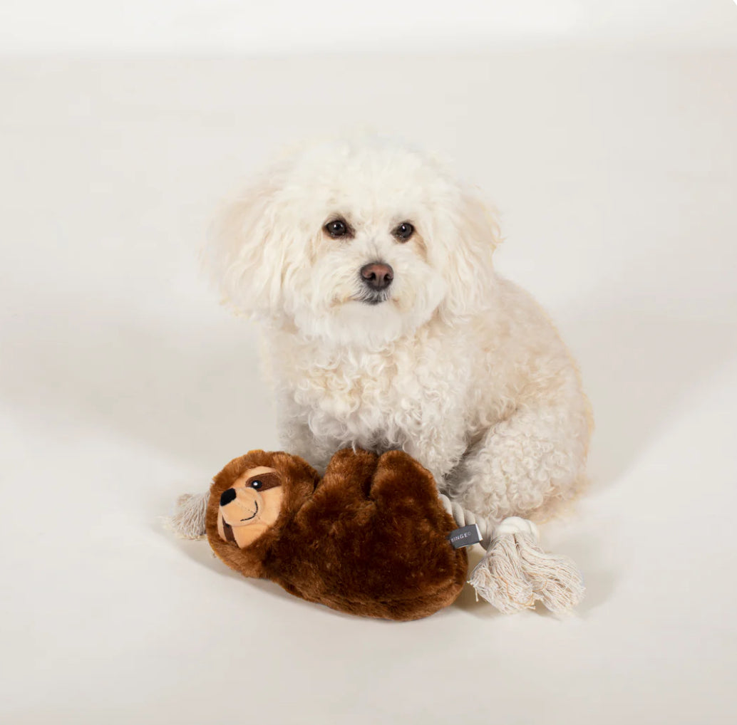 Stanley Brown Sloth Squeaky Plush Toy