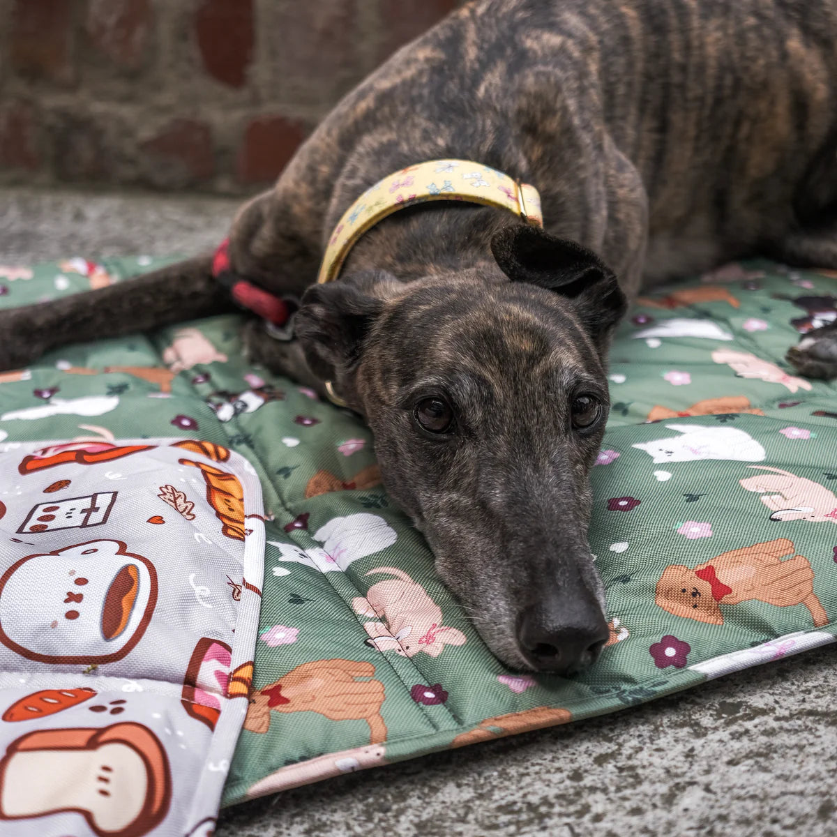 dogs at the park (bows edition) settle mat