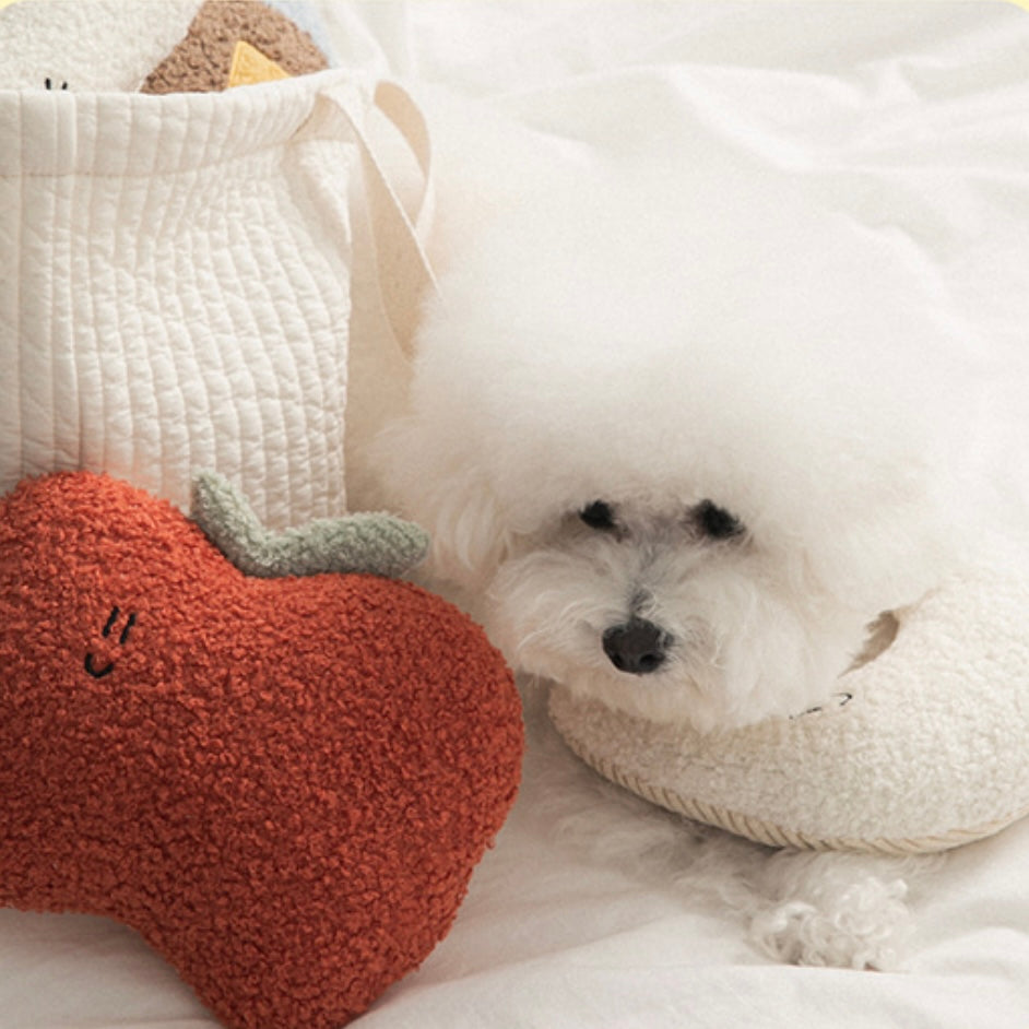 *NEW* BonBon Green My Home Buddy Cushion