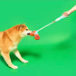 Fishing Nosework & Tug Toy