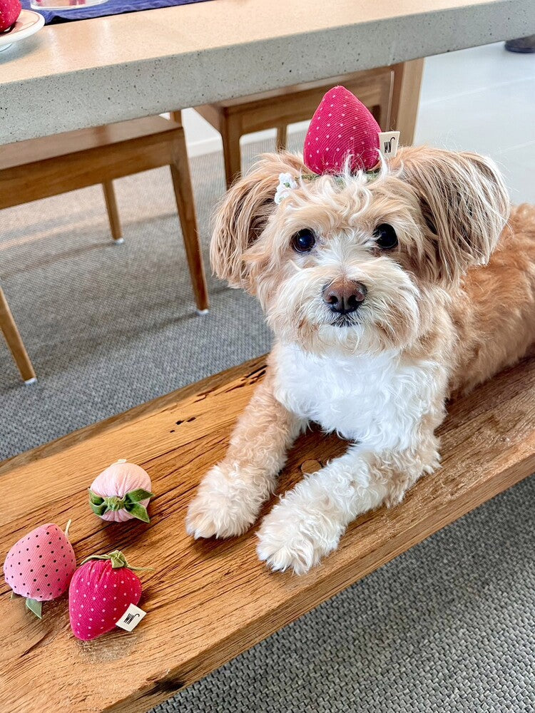 Strawberry Head Piece