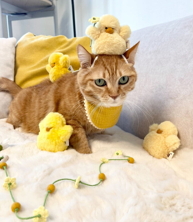 Chick Cat Toy