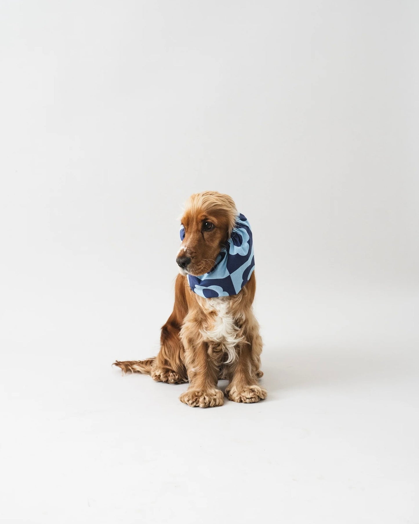 Blue Flowers Snood