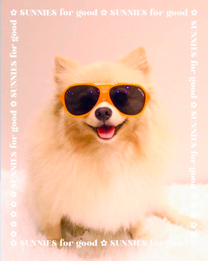✿ SUNNIES for good ✿ Ava Amber Yellow