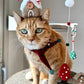 Gingerbread House Head Piece