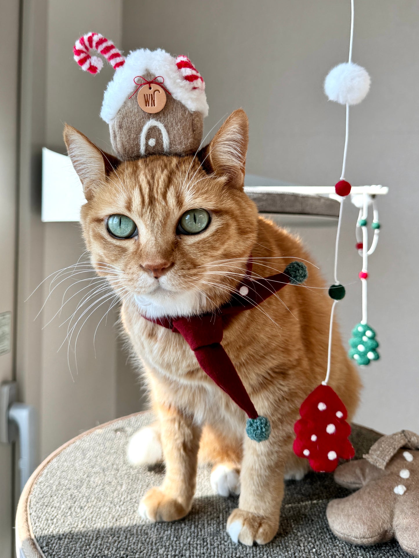 Gingerbread House Head Piece