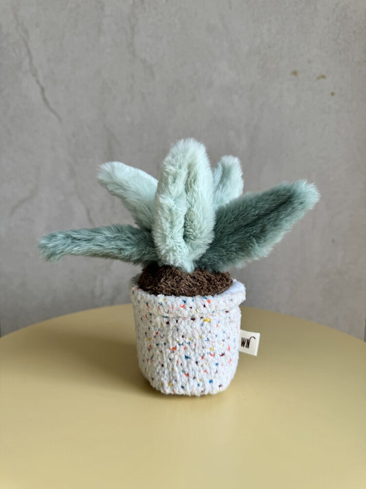 Lamb's Ear Plant Dog Toy