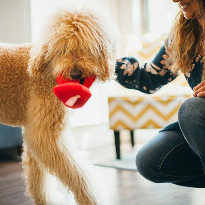 Fur-ever Hearts Squeaky Plush Toy