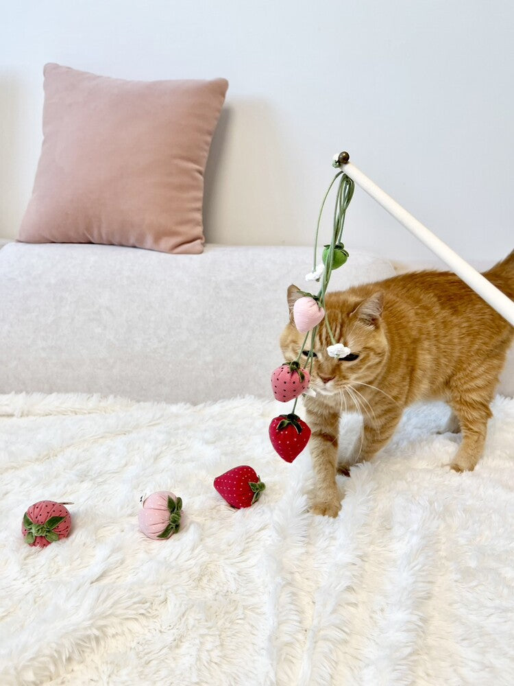 Strawberry Rod Cat Toy