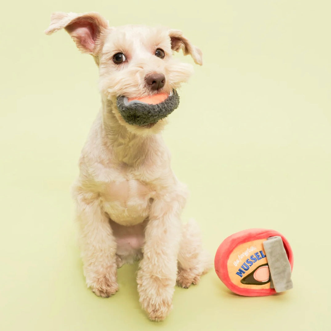 Tinned Mussel Nosework Toy