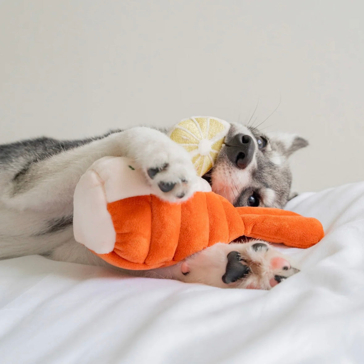 Grilled Lobster Nosework Toy