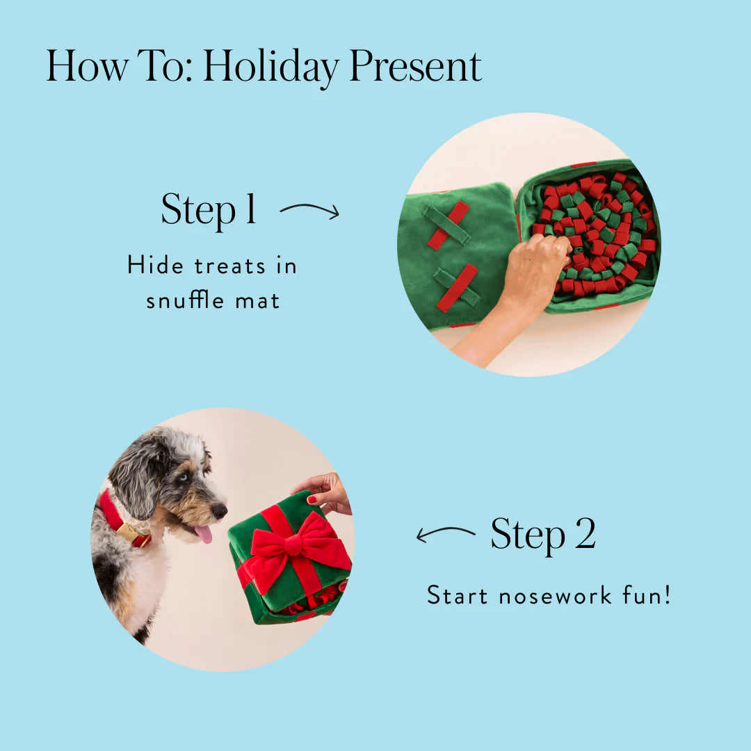 Holiday Present Interactive Snuffle Dog Toy